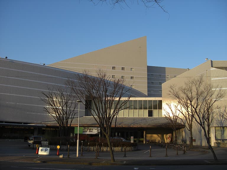 Slide 5: 2019 Osaka
