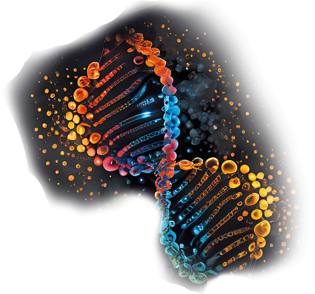 DNA